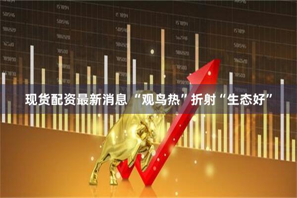 现货配资最新消息 “观鸟热”折射“生态好”